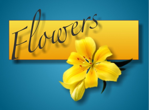 Flowers - High Contrast