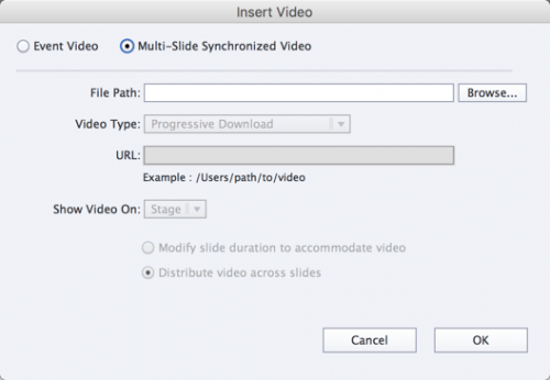 Captivate Video Dialogue