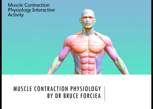 Muscle Contraction Physiology - eLearning