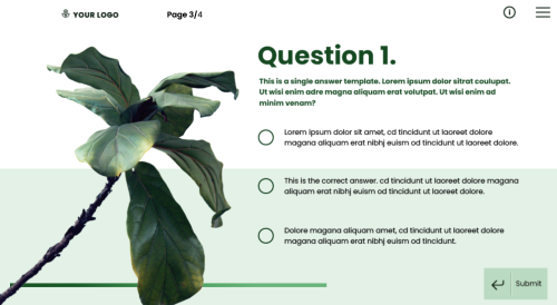 Free Captivate template